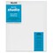 Blick Studio Stretched Cotton Canvas - Gallery Profile, 16" x 20"